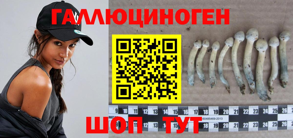 Галлюциногенные грибы Psilocybine cubensis  Псилоцибиновые грибы Magic Shrooms  Новоалександровск  Вход с VPN 